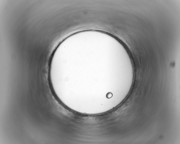 X0000093391508200711011300