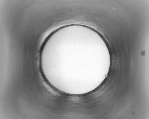 X0000093391511200711011300