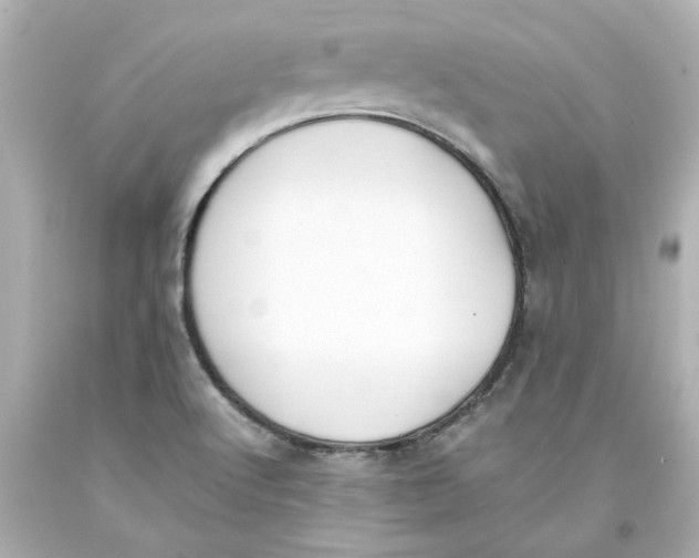 X0000093391512200711011300