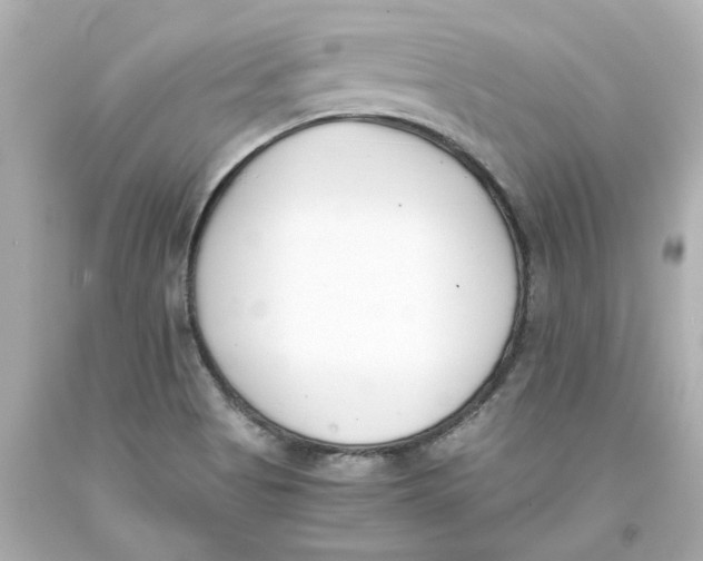 X0000093391513200711011300