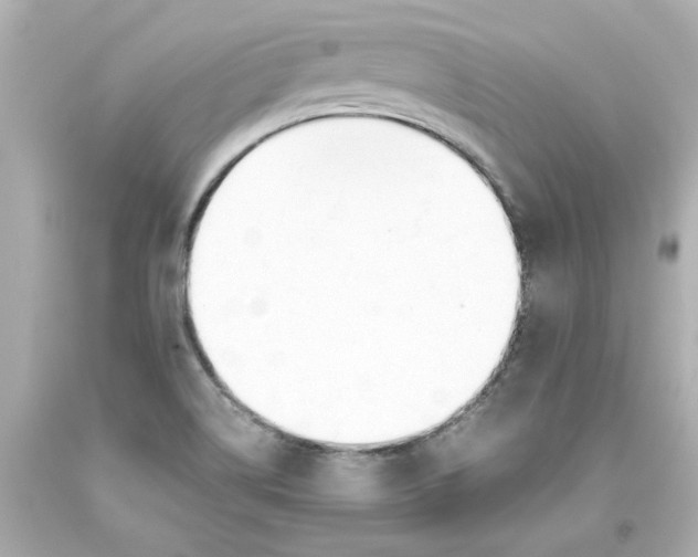 X0000093391514200711011300