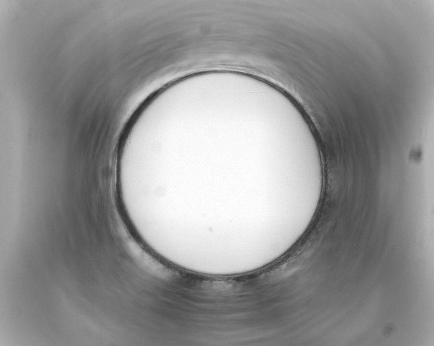 X0000093391515200711011300