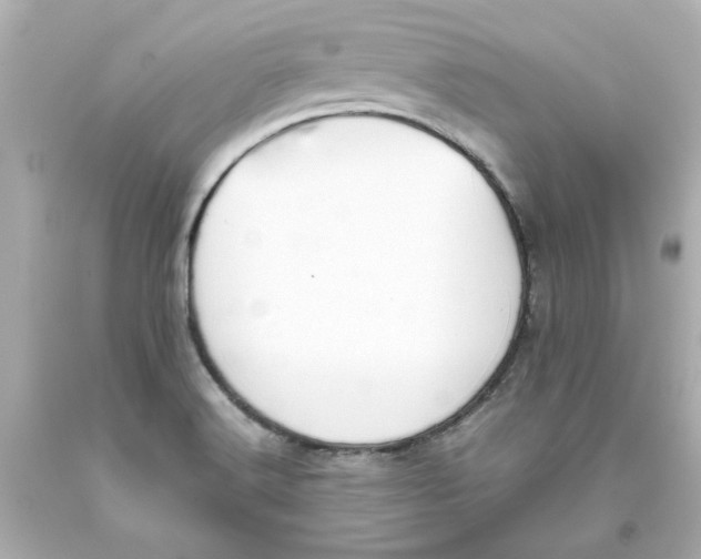 X0000093391516200711011300