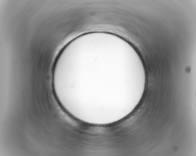 X0000093391517200711011300