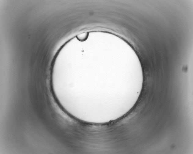 X0000093391518200711011300