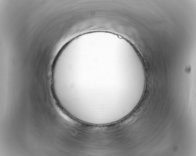 X0000093391519200711011300