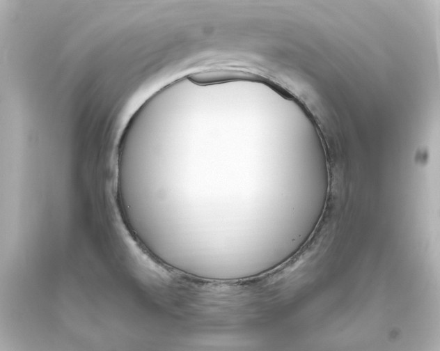 X0000093391520200711011300