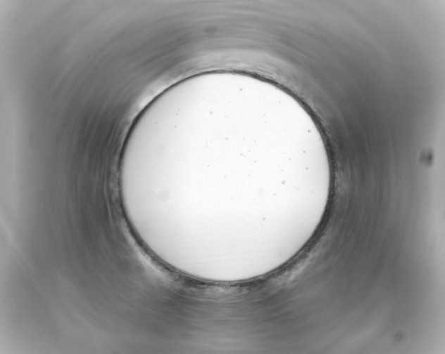 X0000093391521200711011300