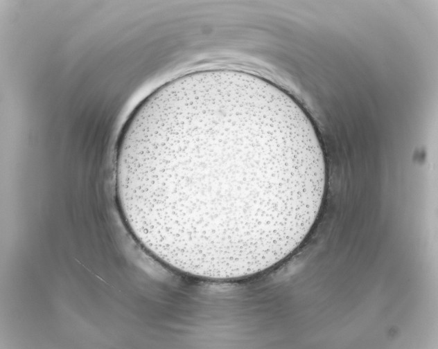 X0000093391522200711011300