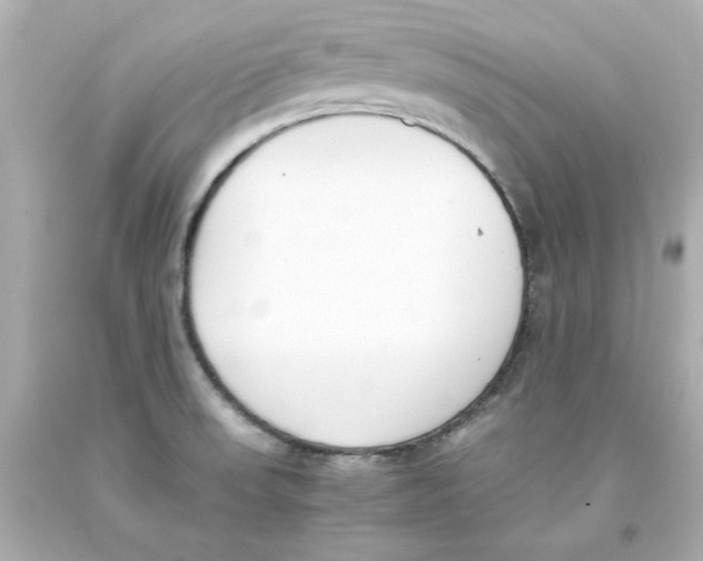 X0000093391523200711011300