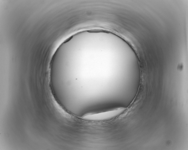 X0000093391524200711011300