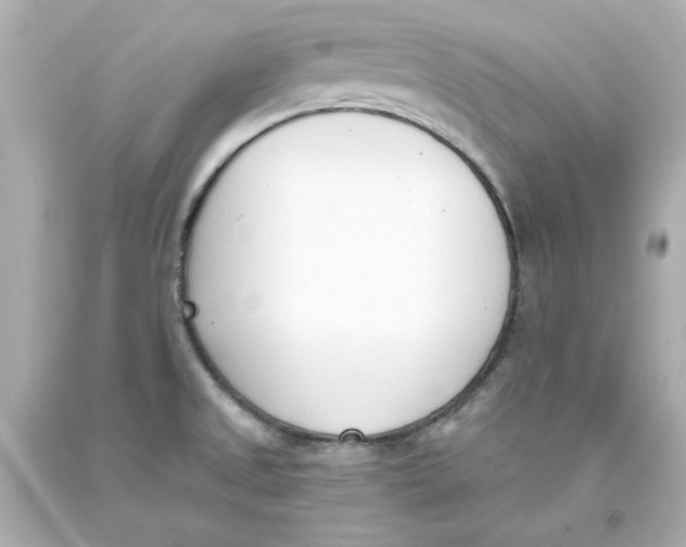 X0000093391525200711011300