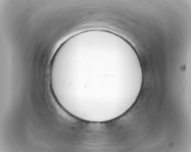 X0000093391526200711011300