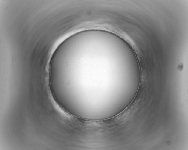 X0000093391528200711011300