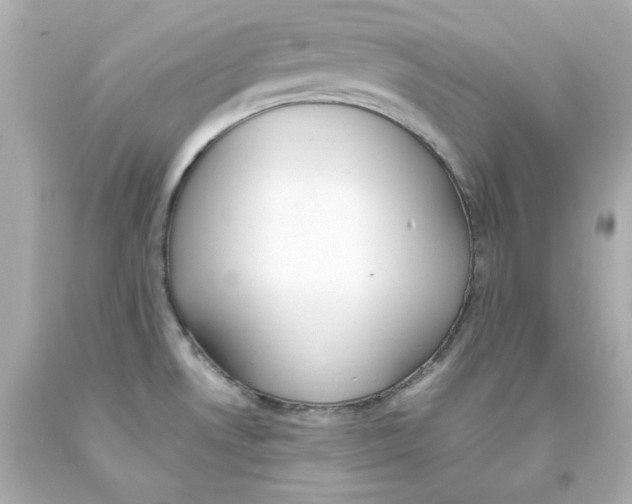 X0000093391530200711011300