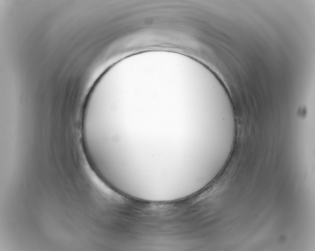 X0000093391531200711011300