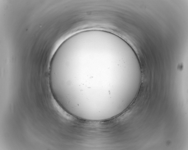 X0000093391532200711011300