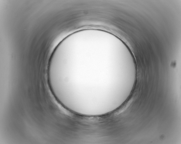 X0000093391533200711011300