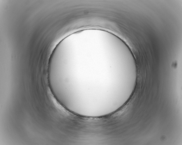 X0000093391534200711011300