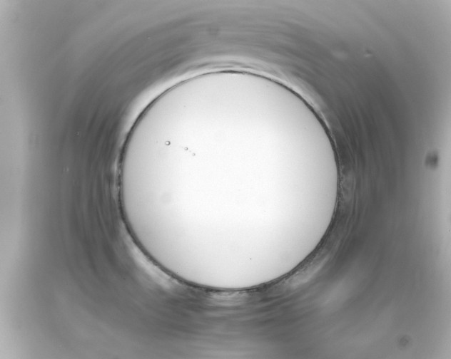 X0000093391535200711011300