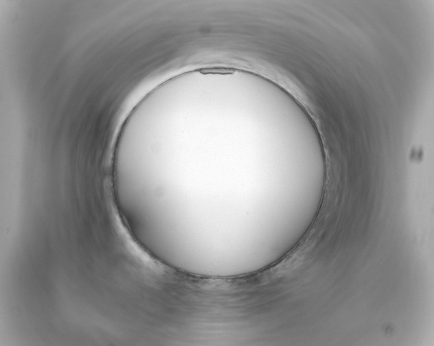 X0000093391536200711011300