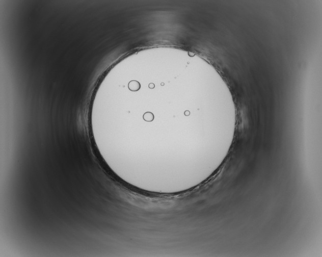 X0000093390004200711081615