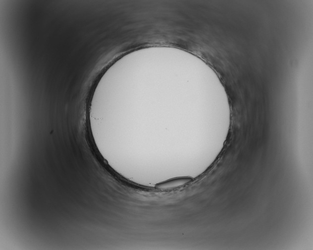 X0000093390005200711081615