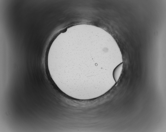 X0000093390006200711081615