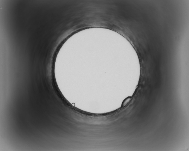 X0000093390008200711081615