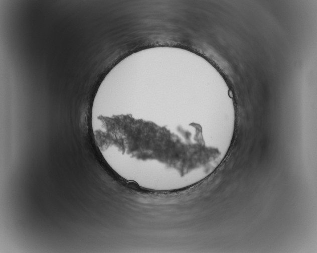 X0000093390009200711081615