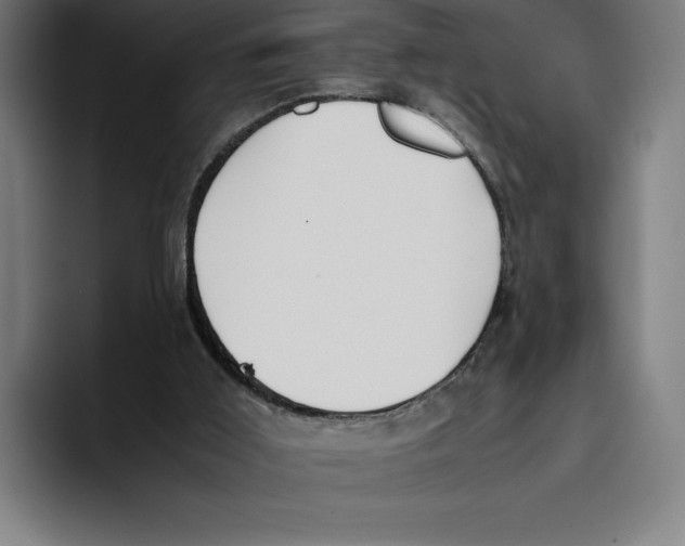 X0000093390011200711081615