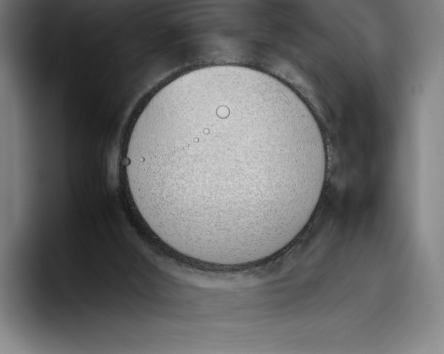 X0000093390012200711081615