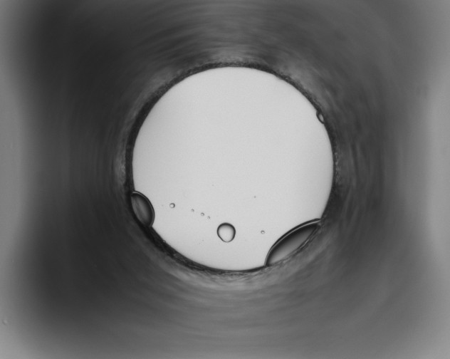 X0000093390015200711081615