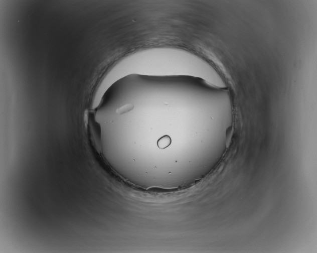 X0000093390019200711081615