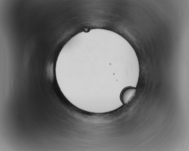 X0000093390020200711081615