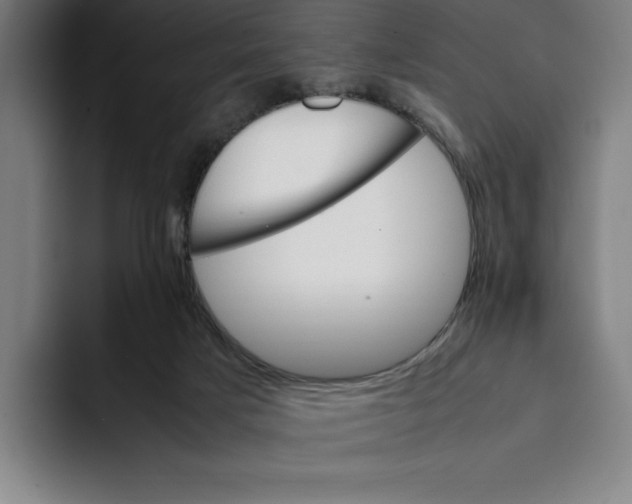 X0000093390025200711081614