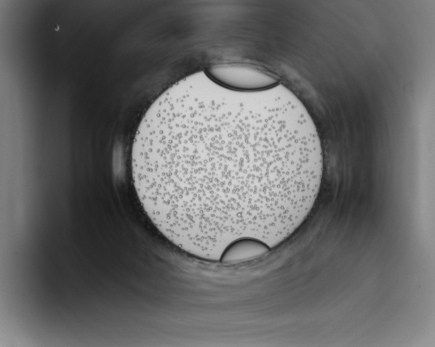 X0000093390026200711081614