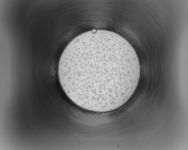 X0000093390032200711081614