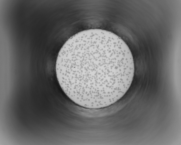 X0000093390034200711081614