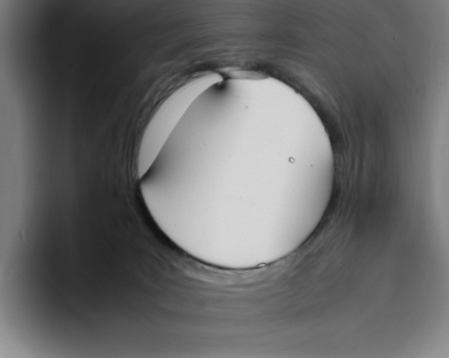 X0000093390035200711081614