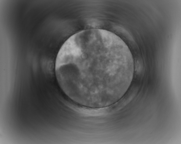 X0000093390036200711081614