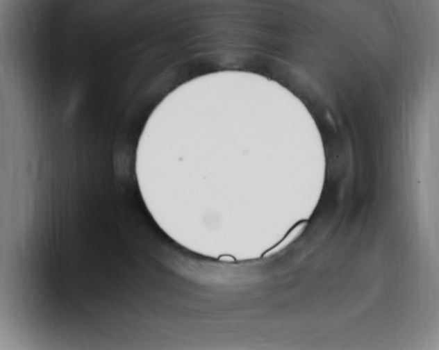 X0000093390044200711081614