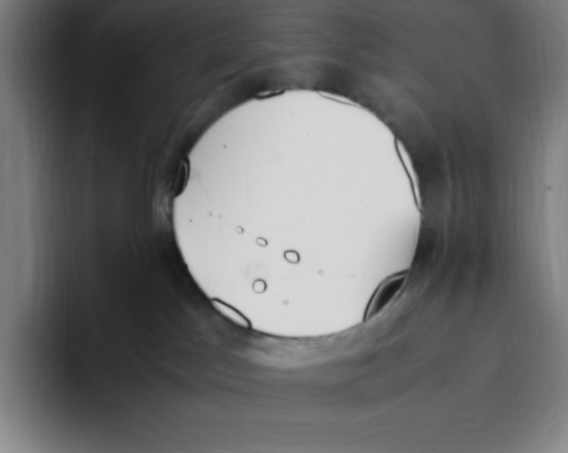 X0000093390045200711081614