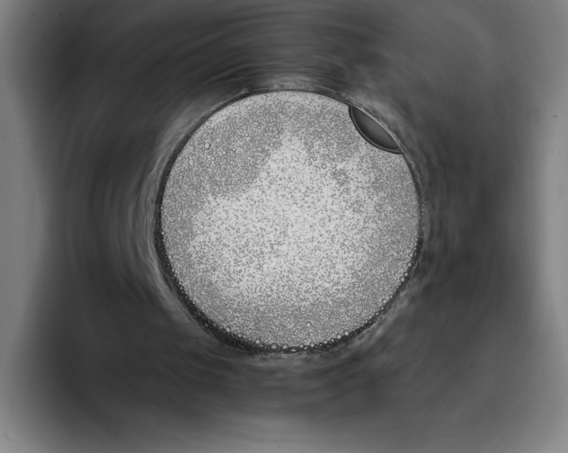 X0000093390049200711081614