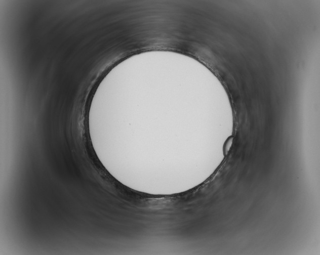 X0000093390050200711081614