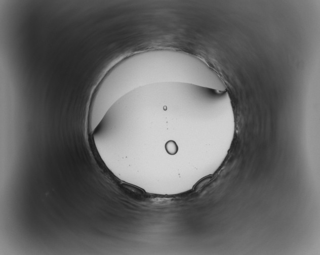 X0000093390052200711081614