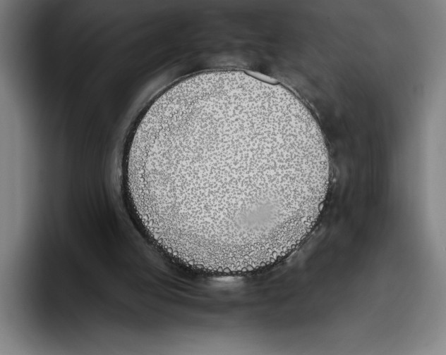 X0000093390053200711081614