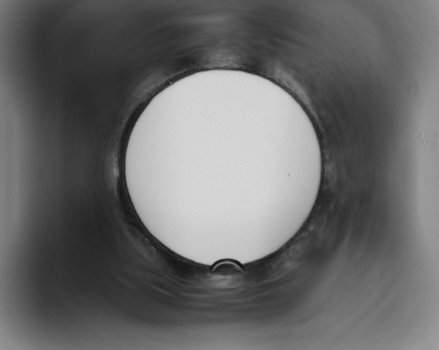 X0000093390059200711081614