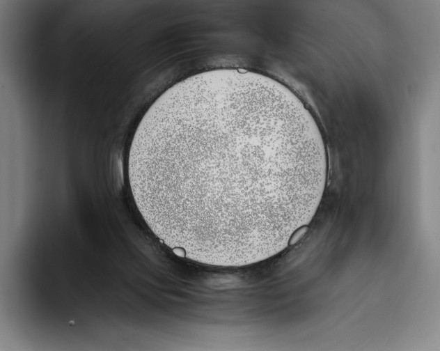 X0000093390061200711081614