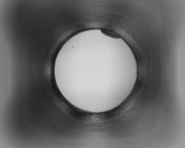 X0000093390064200711081614